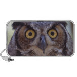 great horned owl travelling speaker