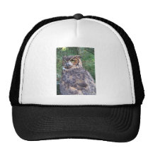 Great Horned Owl Trucker Hats