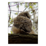 Great Horned Owlette Card