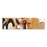 Great Horse Bumper Stickers