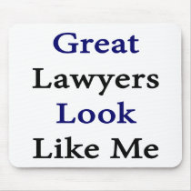 Great Lawyers Look Like Me