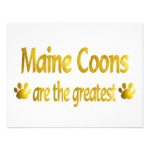 Great Maine Coon Invitation