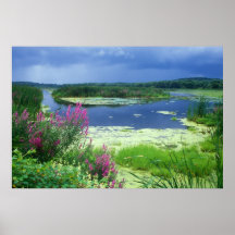 Great Meadows National Wildlife Refuge Posters