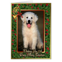Great Pyrenees Dog Blank Christmas Card