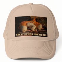 Great Pyrenees Dream Big Mesh Hat
