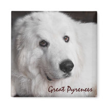 Great Pyrenees Refrigerator Magnets