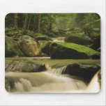 Great Smoky Mountain National Park, TN 2 Mouse Pads