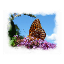 Great Spangled Frit ~ postcard