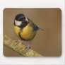 Great Tit Mouse Pad