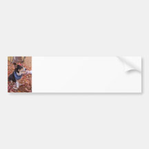 Great to See You! Bumper Stickers