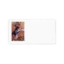Great to See You! Custom Address Labels