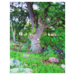 Great Tree Custom Letterhead