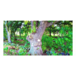 Great Tree Customized Photo Card