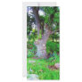 Great Tree Rack Cards