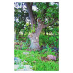 Great Tree Customized Stationery