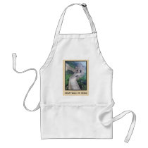Great Wall of China Aprons
