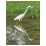 Great White Egret flyers