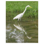 Great White Egret letterhead