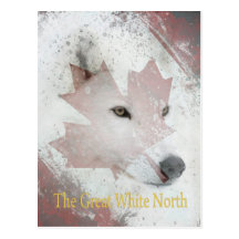 great white north postcards