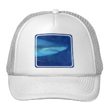 Great White Shark Baseball Hat