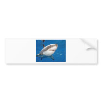 Great White Shark Bumper Sticker