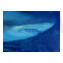 Great White Shark Greeting Card