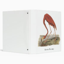 Greater Flamingo, John Audubon 3 Ring Binder