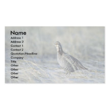 Greater prairie chicken business card