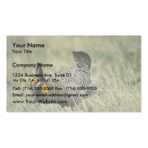 Greater prairie-chicken business cards