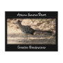 Greater Roadrunner