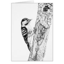 Greater Spotted Woodpecker - Blank Greetings Card