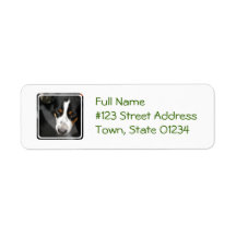 greater-swiss-mountain-dog-1.jpg return address label