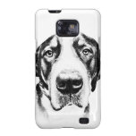 Greater Swiss Mountain Dog Samsung Galaxy SII Covers
