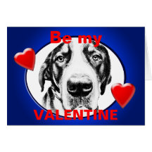 Greater Swiss Mountain Dog Greeting Card