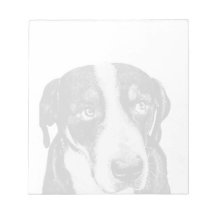 Greater Swiss Mountain Dog Memo Pads