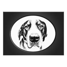 Greater Swiss Mountain Dog Personalized Invitation