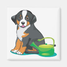 Greater Swiss Mountain Dog Puppy Fridge Magnets