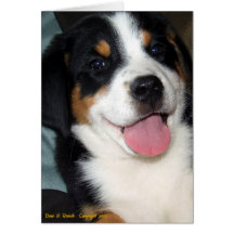 Greater Swiss Mountain Dog Puppy Greeting Cards