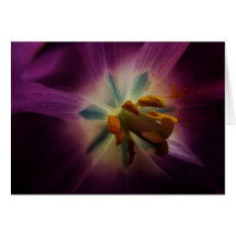 Greater than me greeting card