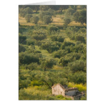 GREECE, Ionian Islands, KEFALONIA, Havriata: Card