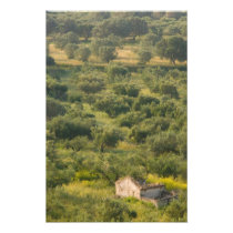 GREECE, Ionian Islands, KEFALONIA, Havriata: