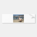Greece Mykonos petros the pelican (St.K) Bumper Stickers