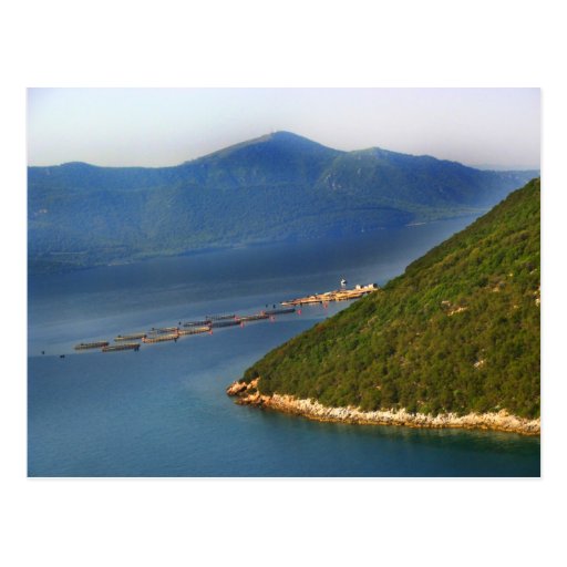 Greece postcard