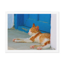Greek holidays 2012 Calendar Postcard
