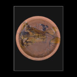 Greek Plate postcards