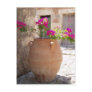 Greek Postcard
