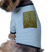 Green and Gold Doggie T-shirt