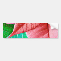 Green And Red Leaves Bumper Stickers