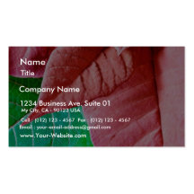 Green And Red Leaves Business Card Template