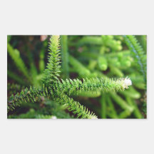 Green and white Leafy fingers Sticker